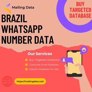 Brazil WhatsApp Number Data