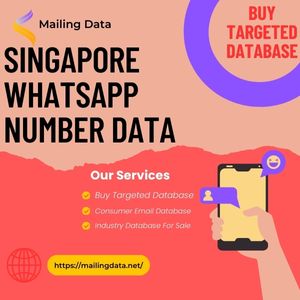 Singapore WhatsApp Number Data