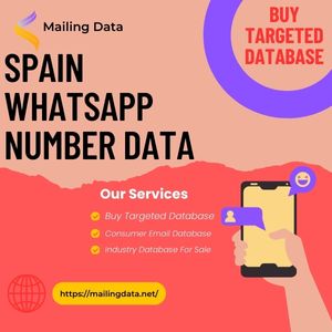 Spain WhatsApp Number Data