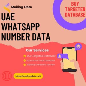 UAE WhatsApp Number Data